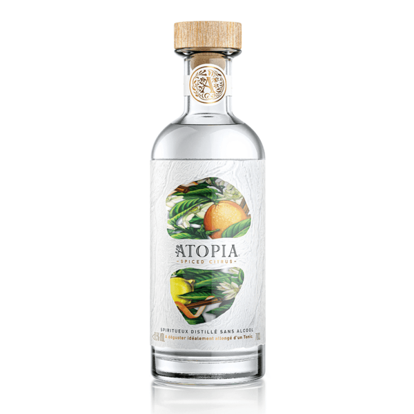 Bouteille de gin