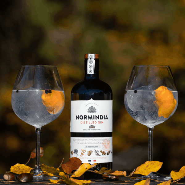 Bouteille de gin et son gin/tonic ou cocktail