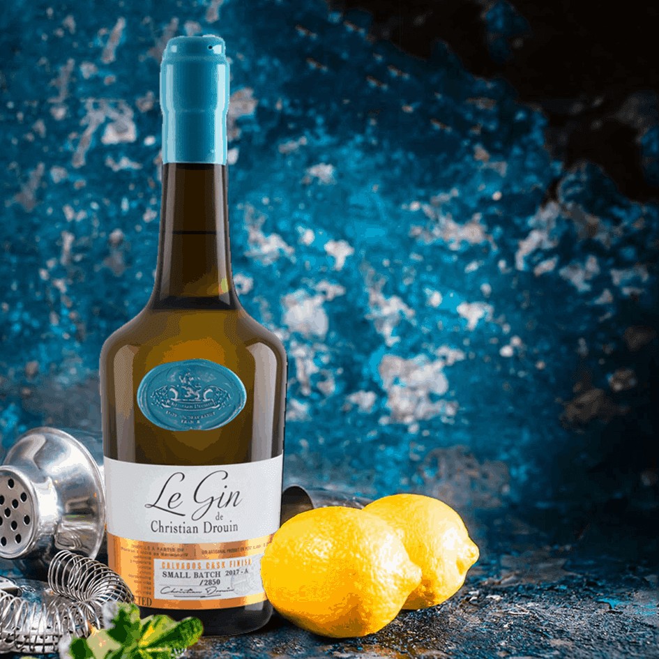 Bouteille de gin