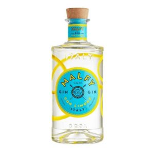 Bouteille de gin