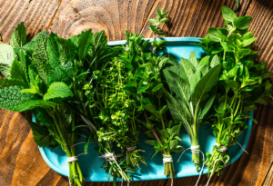 fresh aromatic herbs culinary home grown plants 2021 09 02 19 29 57 utc