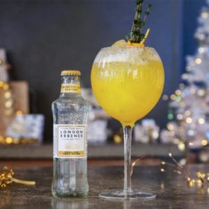 Recette gin tonic clementine