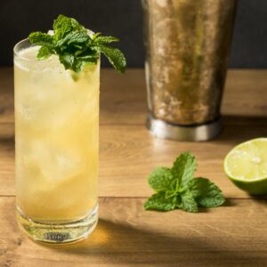 Recette cocktail gin - Gin mule
